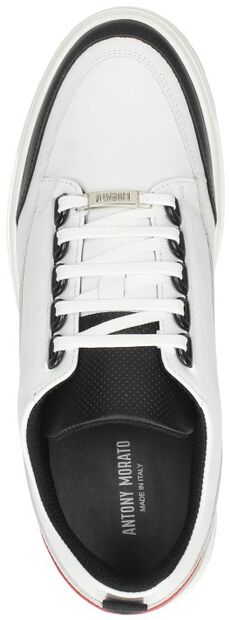 Schnürschuhe low - large