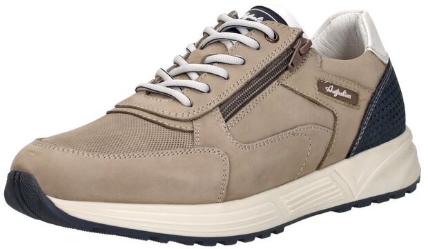 Discover - Flexmove - large