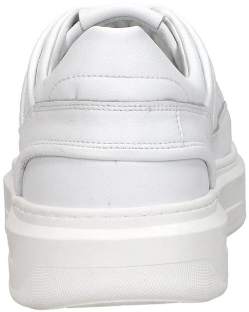 Sneaker low - large