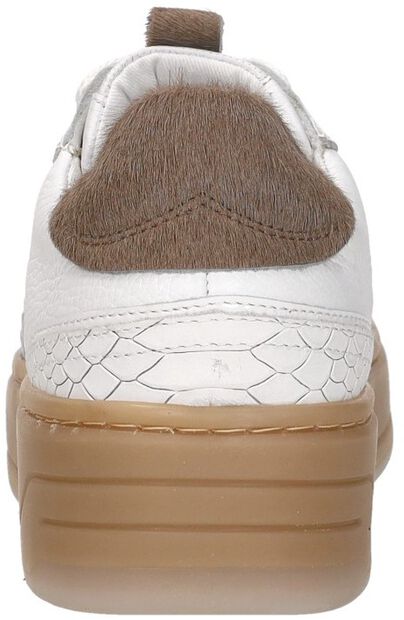 Sneakers Laag - large