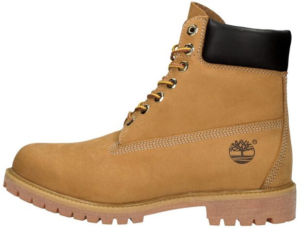 Premium 6-Inch Boot - large