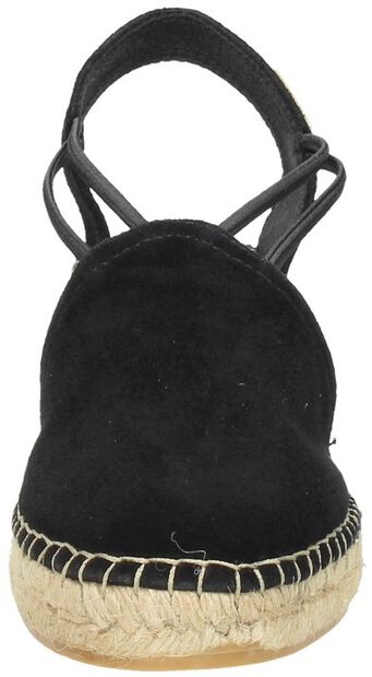 Tremp - large