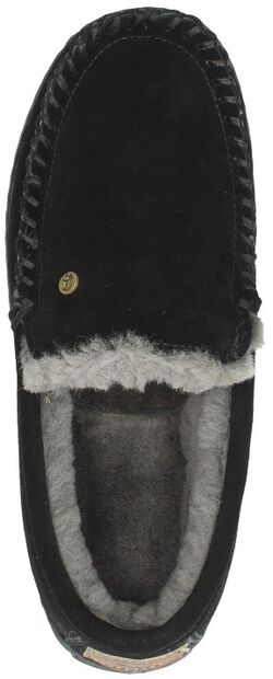 Grizzly - large