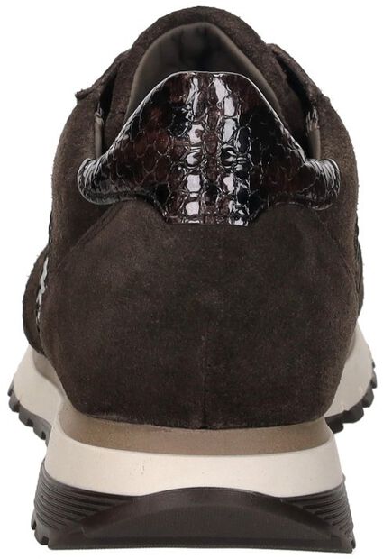 Sneakers Laag - large