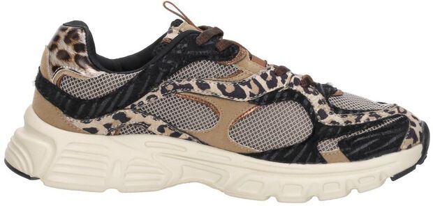 Sneakers Laag - large