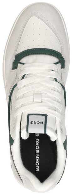 T3100 LOW - large