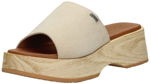 SHS1332 - large