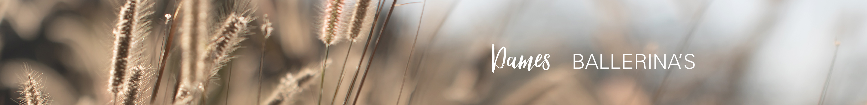 Ballerinas