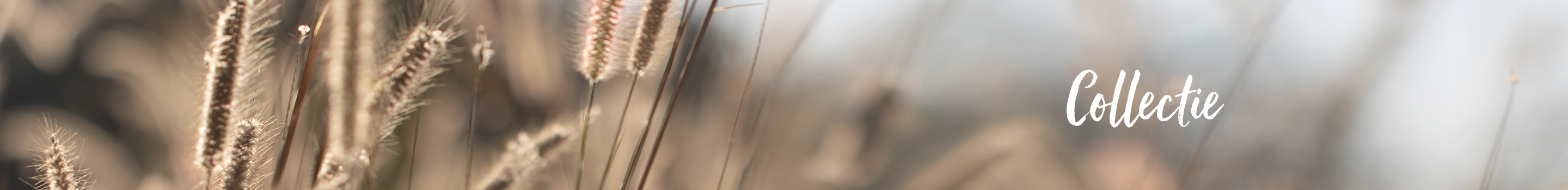 Kleidung und Accessoires